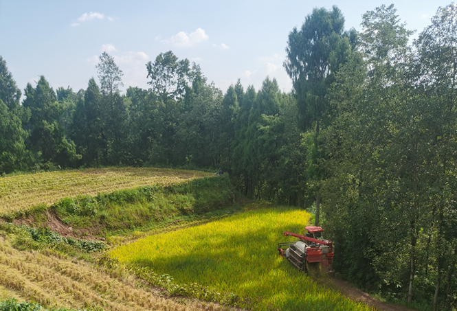 1692149565888477.png W020230814614698394123.png